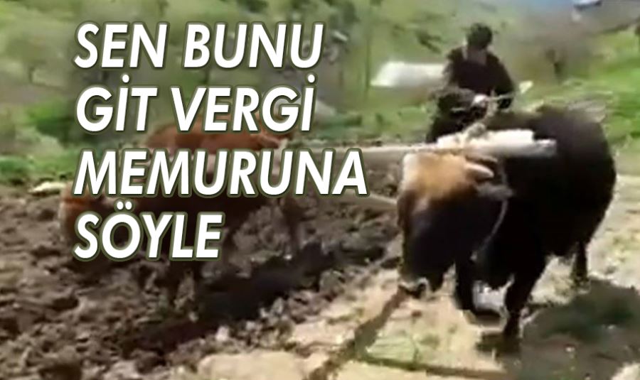 SEN BUNU GİT VERGİ MEMURUNA SÖYLE.