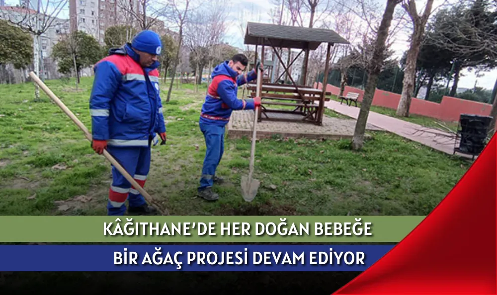 KÂĞITHANE’DE HER DOĞAN BEBEĞE BİR AĞAÇ PROJESİ DEVAM EDİYOR