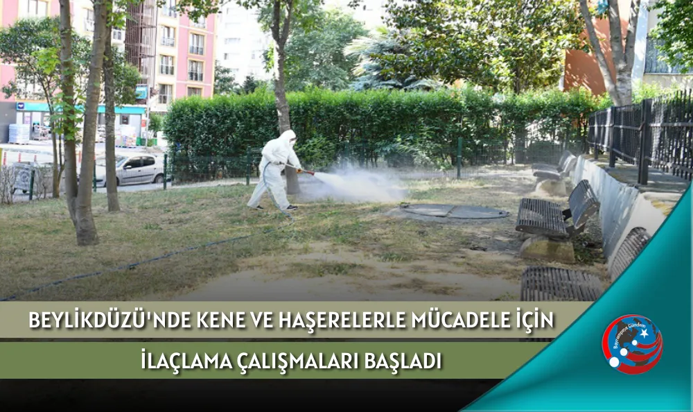 BEYLİKDÜZÜ'NDE KENE VE HAŞERELERLE MÜCADELE İÇİN İLAÇLAMA ÇALIŞMALARI BAŞLADI